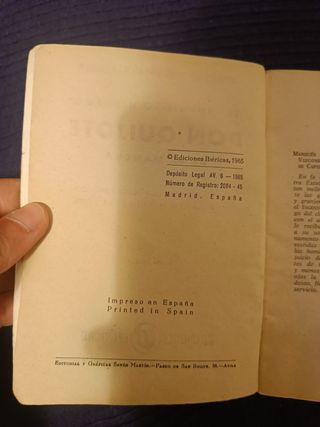 Don Quijote de La Mancha.