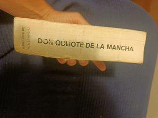 Don Quijote de La Mancha.