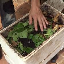 humus abono 100% natural