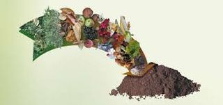 humus abono 100% natural