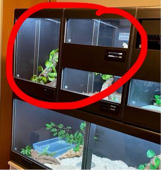 2 módulos de 3 Terrarios PVC Reptilium Box