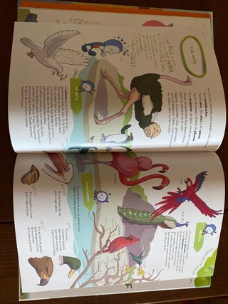 Libro infantil Pupipedia