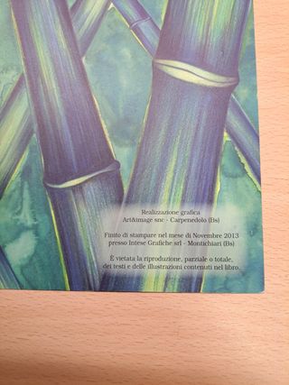 Libro Chicco alla ricerca della nota perduta