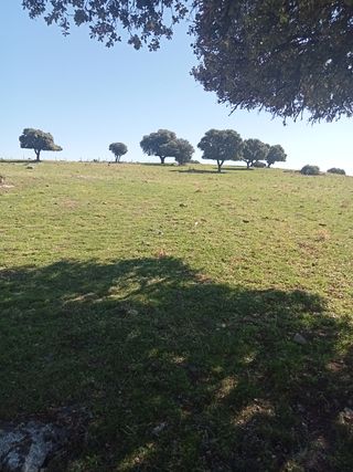 parcela rústica