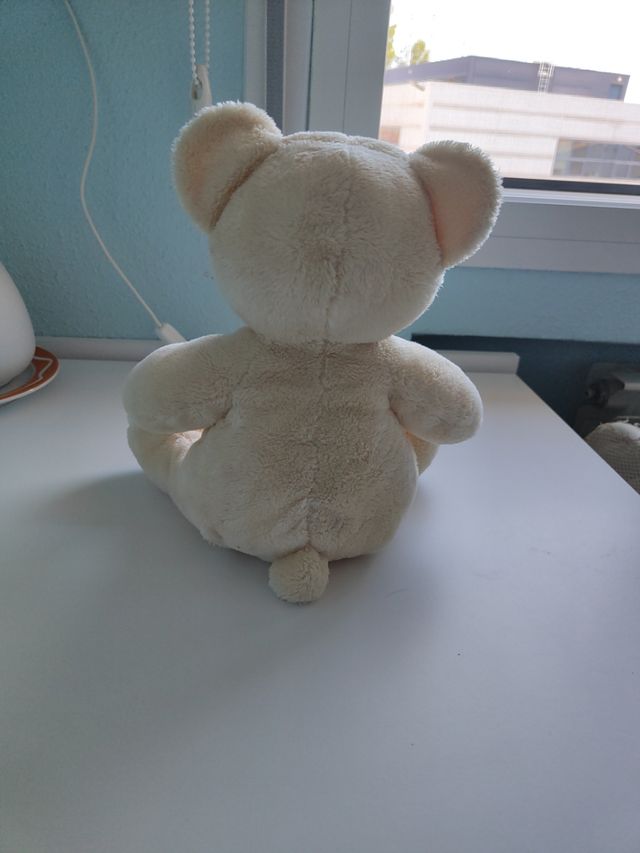 Osito peluche
