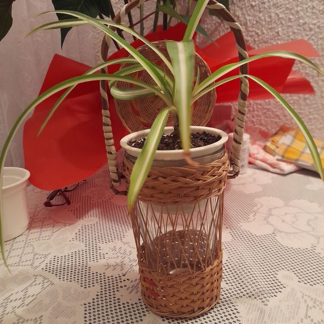 Cestino spa Lanjarón con vaso