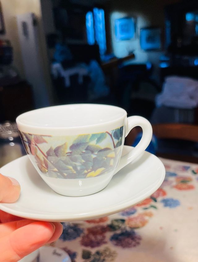 servizio 12 tazzine caffe’ d’autore