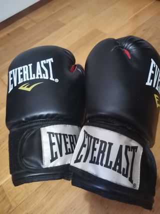 Guantes de Boxeo Everlast