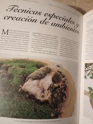 Enciclopedia del Bonsai