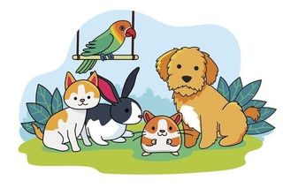 TE CUIDO TU MASCOTA perro, gato....