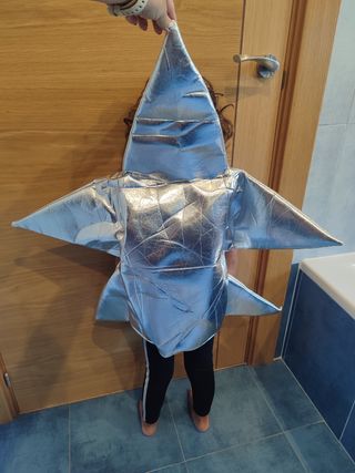 Disfraz Estrella niñ@