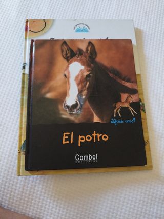 8 Libros de cuentos infantiles