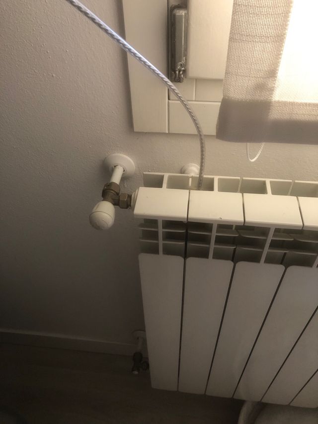 spazzola termosifoni