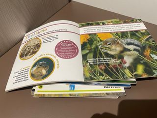 Coleccion libros:Mis animales favoritos