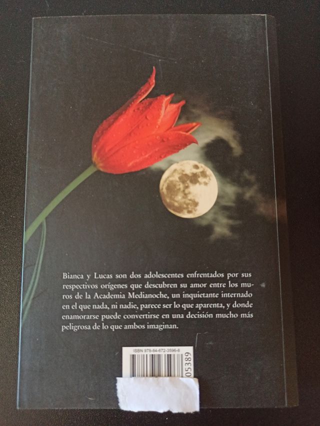 Medianoche, Claudia Gray