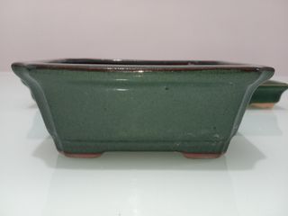 Macetas maceteros bonsai