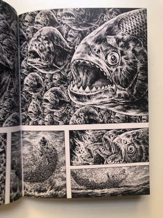 🉐 Manga Gon de Tanaka