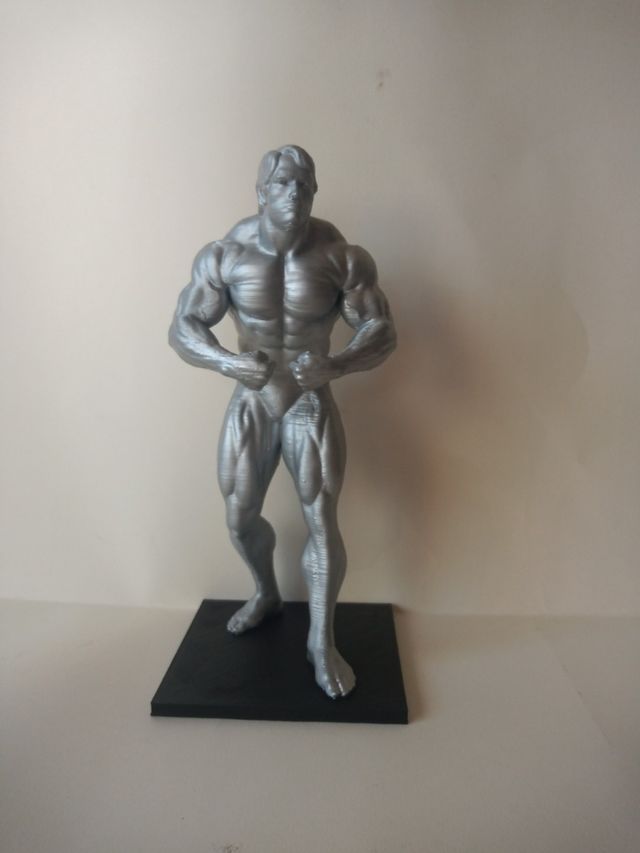 Figura de Arnold Schwarzenegger,hecha en 3d