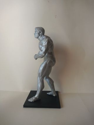 Figura de Arnold Schwarzenegger,hecha en 3d