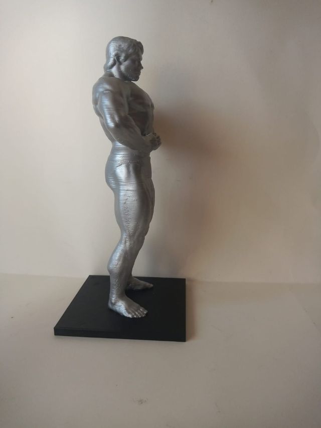 Figura de Arnold Schwarzenegger 