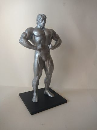 Figura de Arnold Schwarzenegger