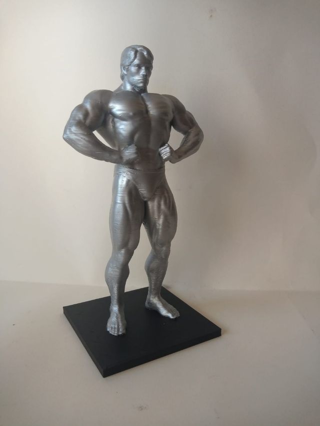 Figura de Arnold Schwarzenegger 