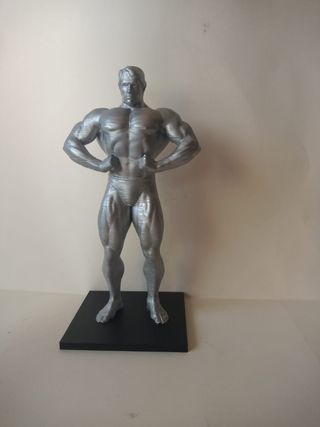 Figura de Arnold Schwarzenegger