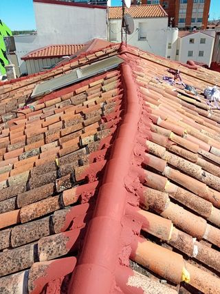 REFORMAS PINTABUR