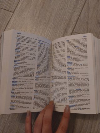 Diccionario Inglés oxford