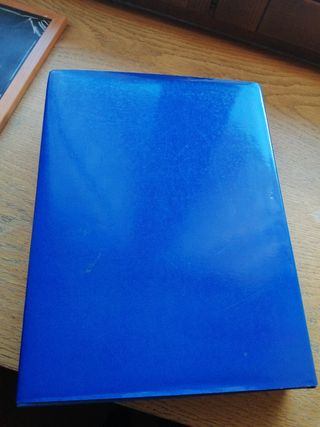 Libro beata Pierina Morosini