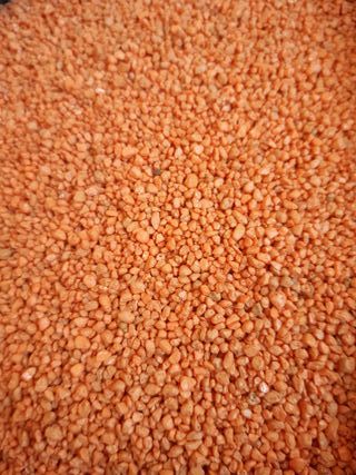 Arena acuario naranja Kiwoko 10kg