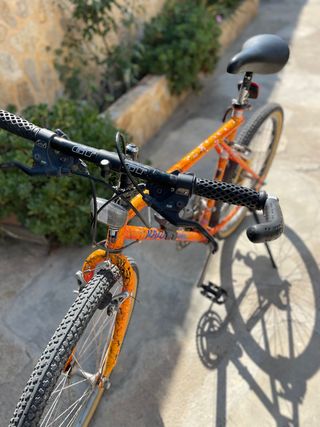 Bicicleta de montaña