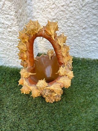 Jarron caracolas