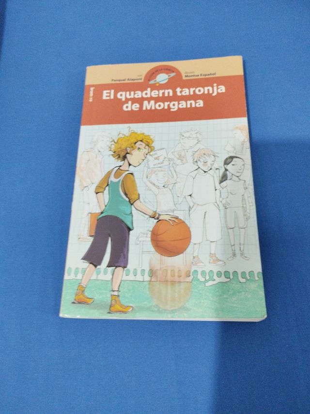 El quadern taronja de Morgana.