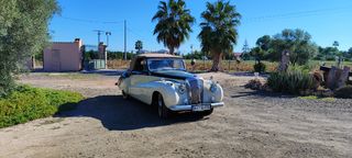 Vendo o cambio -Daimler DB 18 Sport Special Coupé