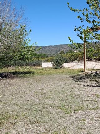 BUSCO TRABAJO DE  DESBROCE  PRECIOS  ECONOMICOS