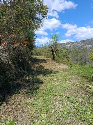 BUSCO TRABAJO DE  DESBROCE  PRECIOS  ECONOMICOS