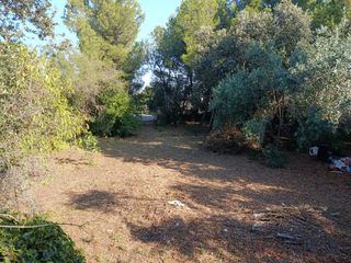 BUSCO TRABAJO DE  DESBROCE  PRECIOS  ECONOMICOS