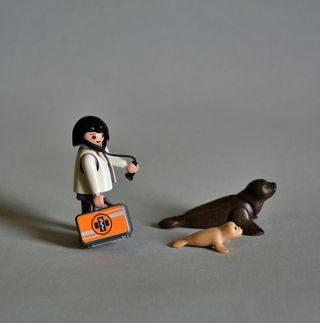 Playmobil Veterinaria Con Focas