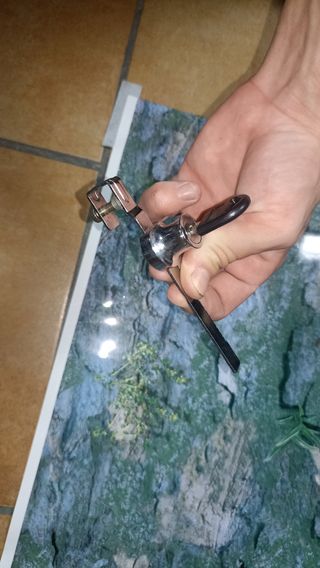Terrario Acuario