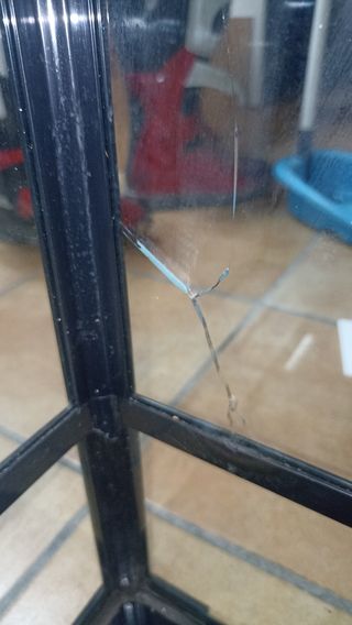 Terrario Acuario