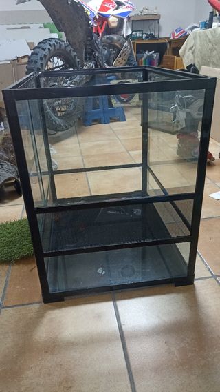 Terrario Acuario