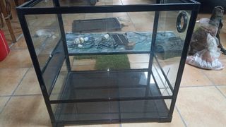 Terrario Acuario