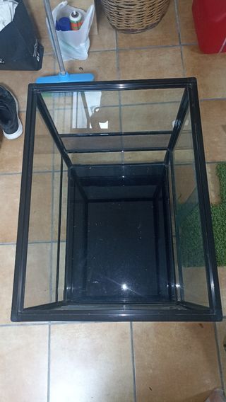 Terrario Acuario