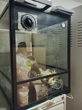 Terrario Acuario