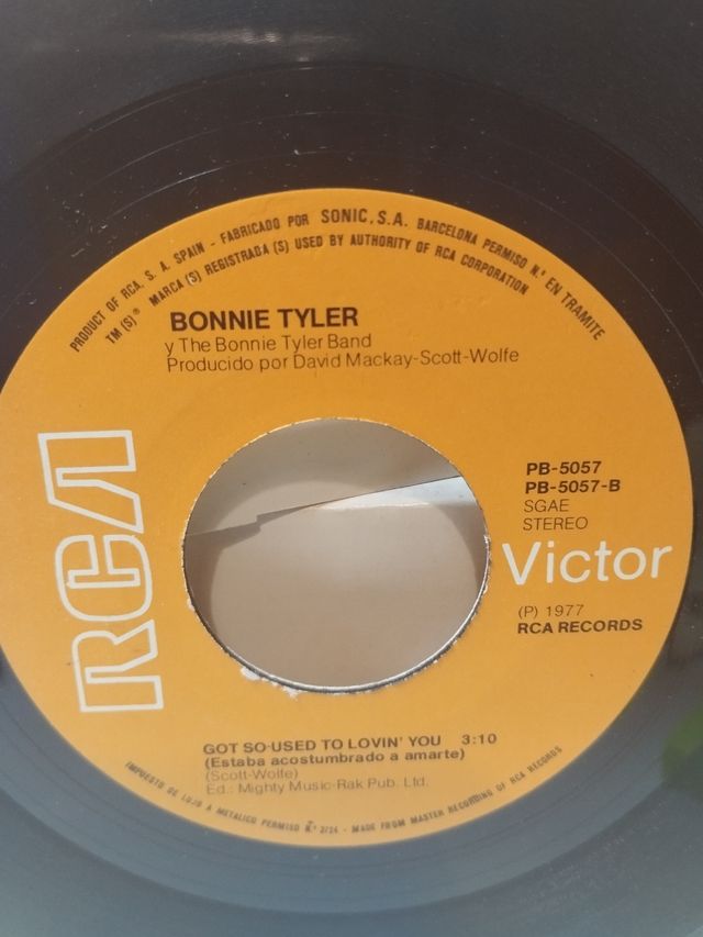 Vinilo Bonnie Tyler