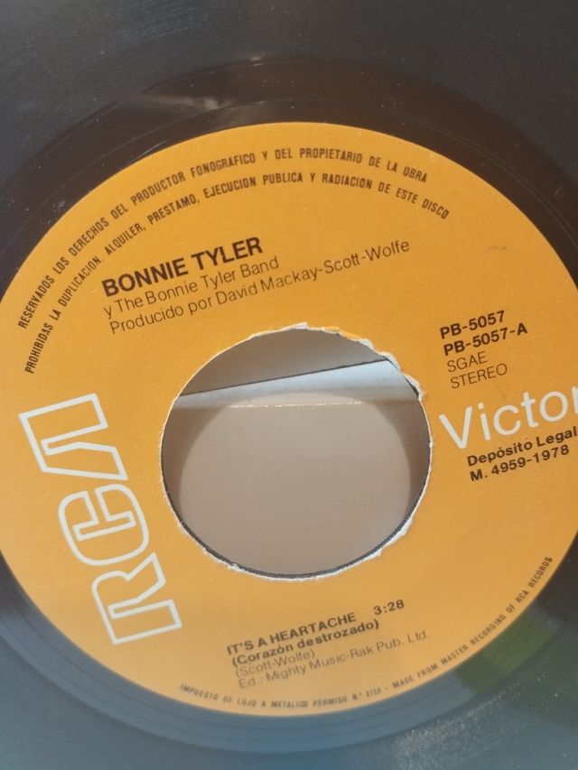 Vinilo Bonnie Tyler