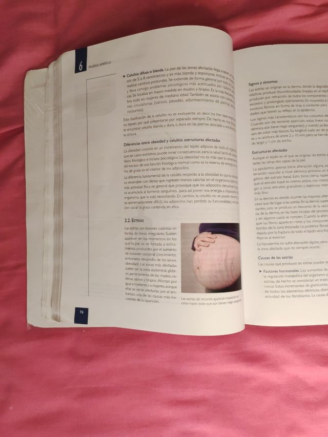 Libro análisis estético