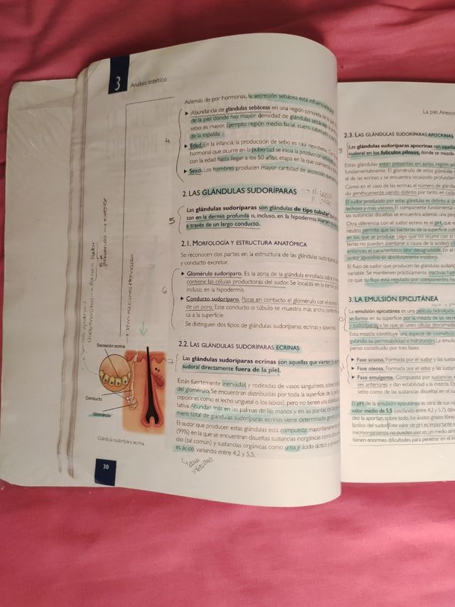 Libro análisis estético