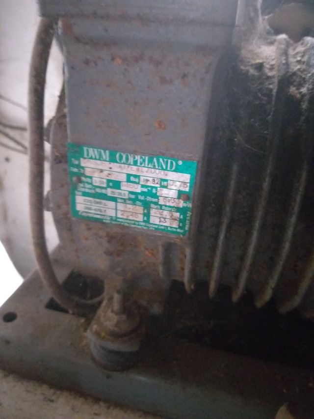 Compresor para cámara frigorífica